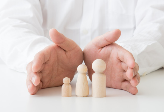 EI Cards CreditShield