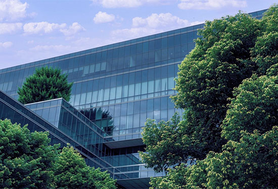 Large Corporate